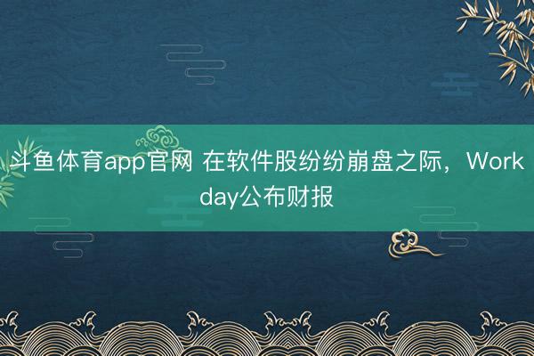 斗鱼体育app官网 在软件股纷纷崩盘之际，Workday公布财报