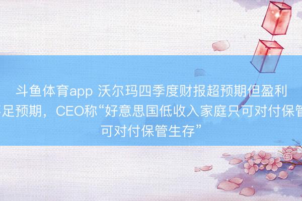 斗鱼体育app 沃尔玛四季度财报超预期但盈利带领不足预期,CEO称“好意思国低收入家庭只可对付保管生存”