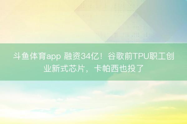 斗鱼体育app 融资34亿!谷歌前TPU职工创业新式芯片,卡帕西也投了
