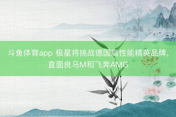 斗鱼体育app 极星将挑战德国高性能精英品牌，直面良马M和飞奔AMG