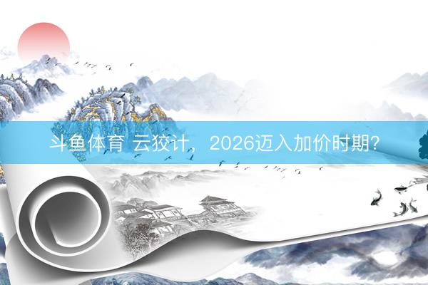 斗鱼体育 云狡计,2026迈入加价时期?