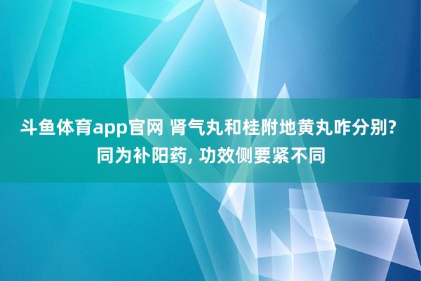 斗鱼体育app官网 肾气丸和桂附地黄丸咋分别? 同为补阳药， 功效侧要紧不同