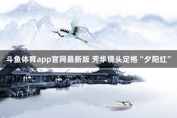 斗鱼体育app官网最新版 芳华镜头定格“夕阳红”