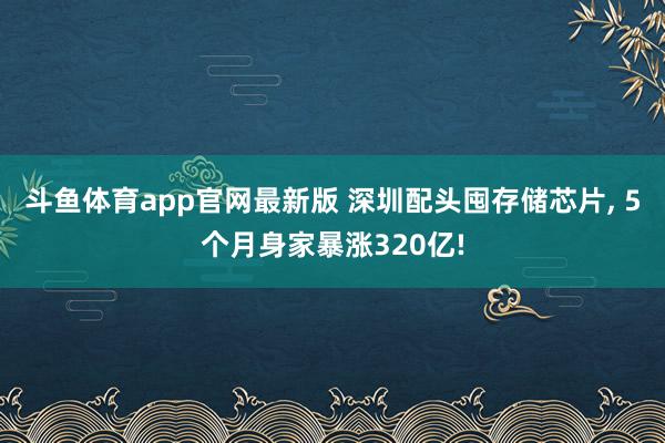 斗鱼体育app官网最新版 深圳配头囤存储芯片， 5个月身家暴涨320亿!