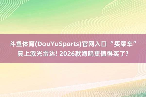 斗鱼体育(DouYuSports)官网入口 “买菜车”真上激光雷达! 2026款海鸥更值得买了?