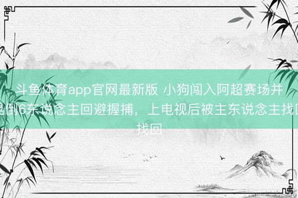 斗鱼体育app官网最新版 小狗闯入阿超赛场并晃倒6东说念主回避握捕，上电视后被主东说念主找回