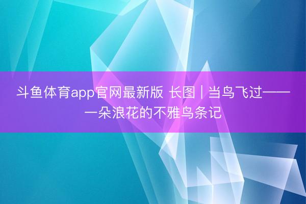 斗鱼体育app官网最新版 长图 | 当鸟飞过——一朵浪花的不雅鸟条记