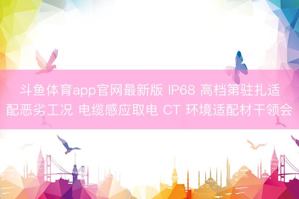 斗鱼体育app官网最新版 IP68 高档第驻扎适配恶劣工况 电缆感应取电 CT 环境适配材干领会