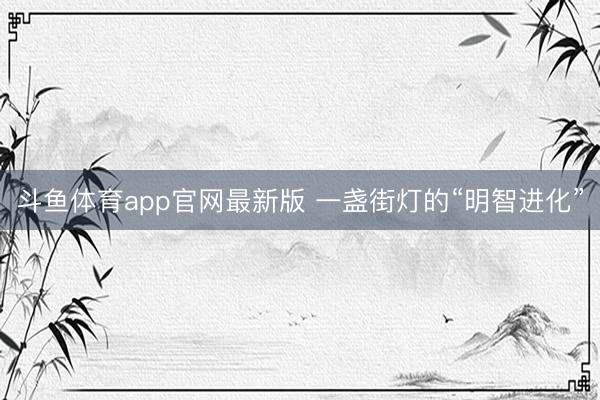 斗鱼体育app官网最新版 一盏街灯的“明智进化”